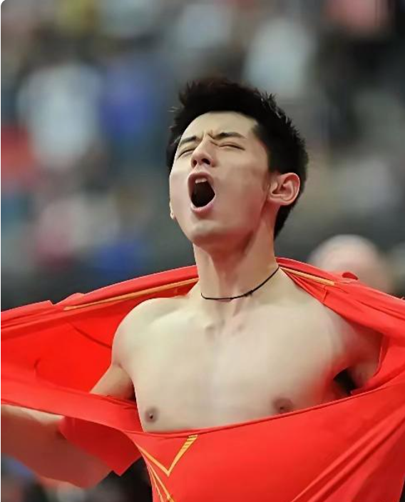 包含法国队轻取韩国队，张继科惊艳四座的词条