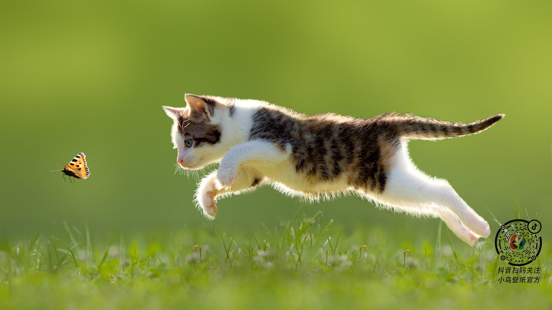 中场铁壁，禁区惊雷，步行者足球式绞杀击溃广厦