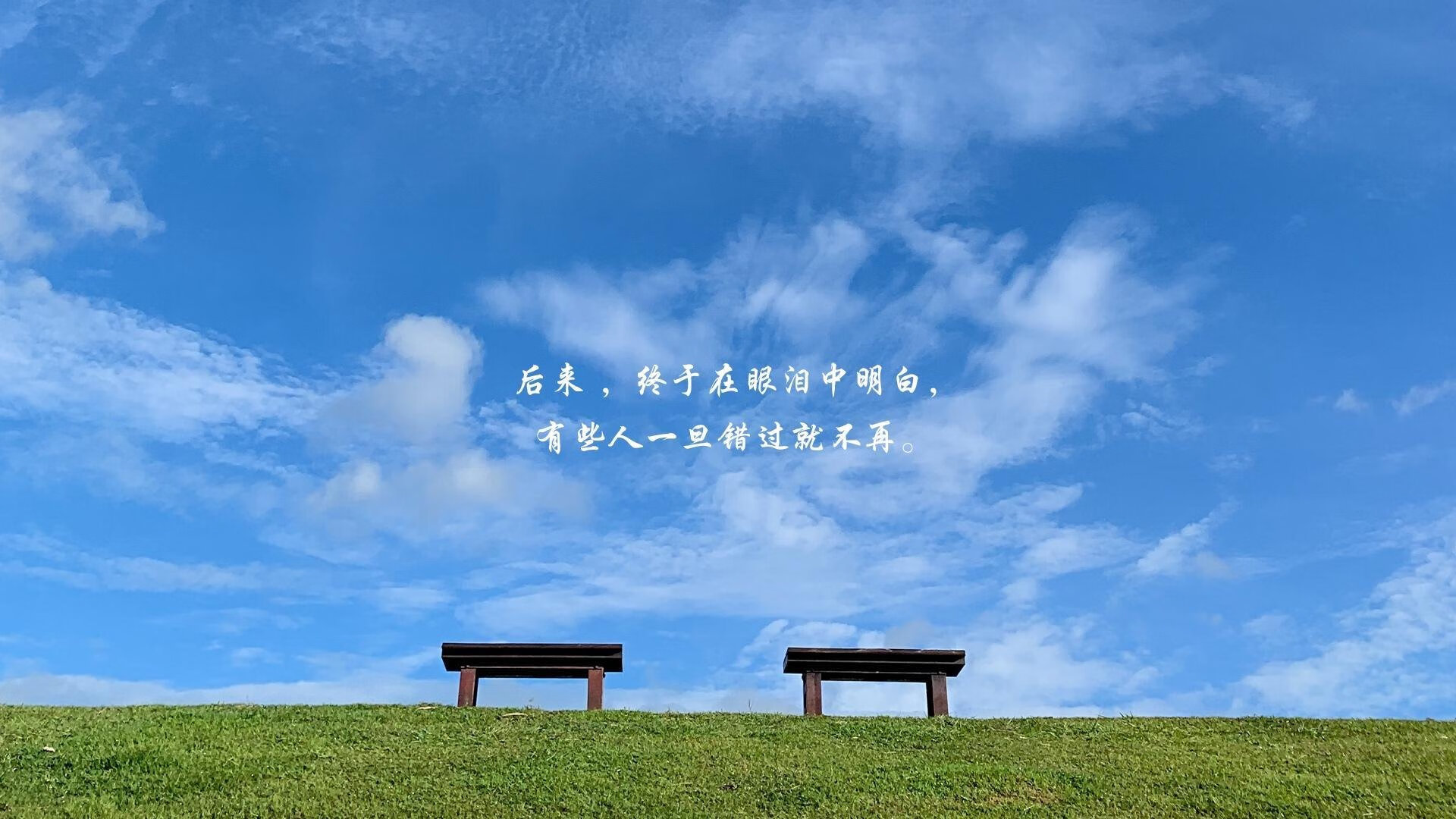 秩序与天赋的独奏,2026世界杯强强对话中,西班牙如何用稳定解构斯洛伐克,并为孙兴慜的孤胆英雄剧写下悲情注脚