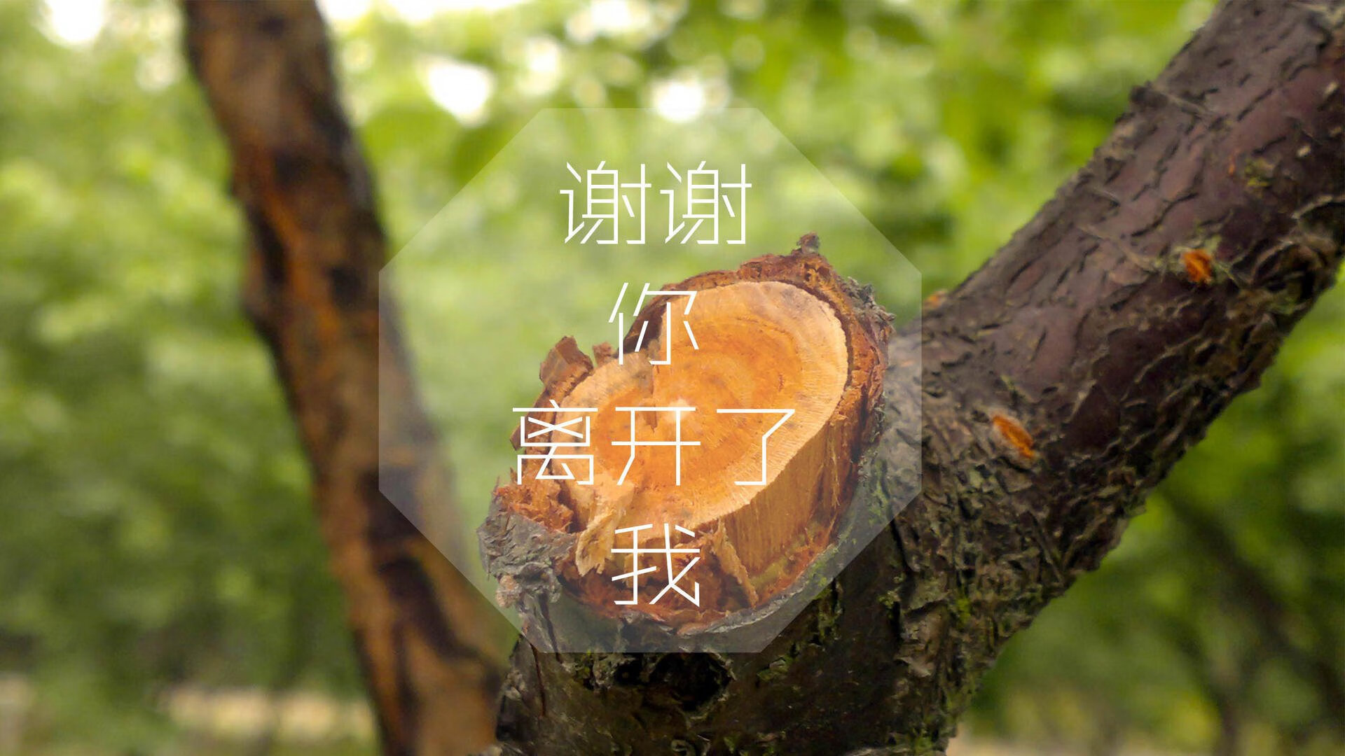 底格里斯河的奇迹，2026世界杯E组，伊拉克双核驱动，替补奇兵绝杀瑞士
